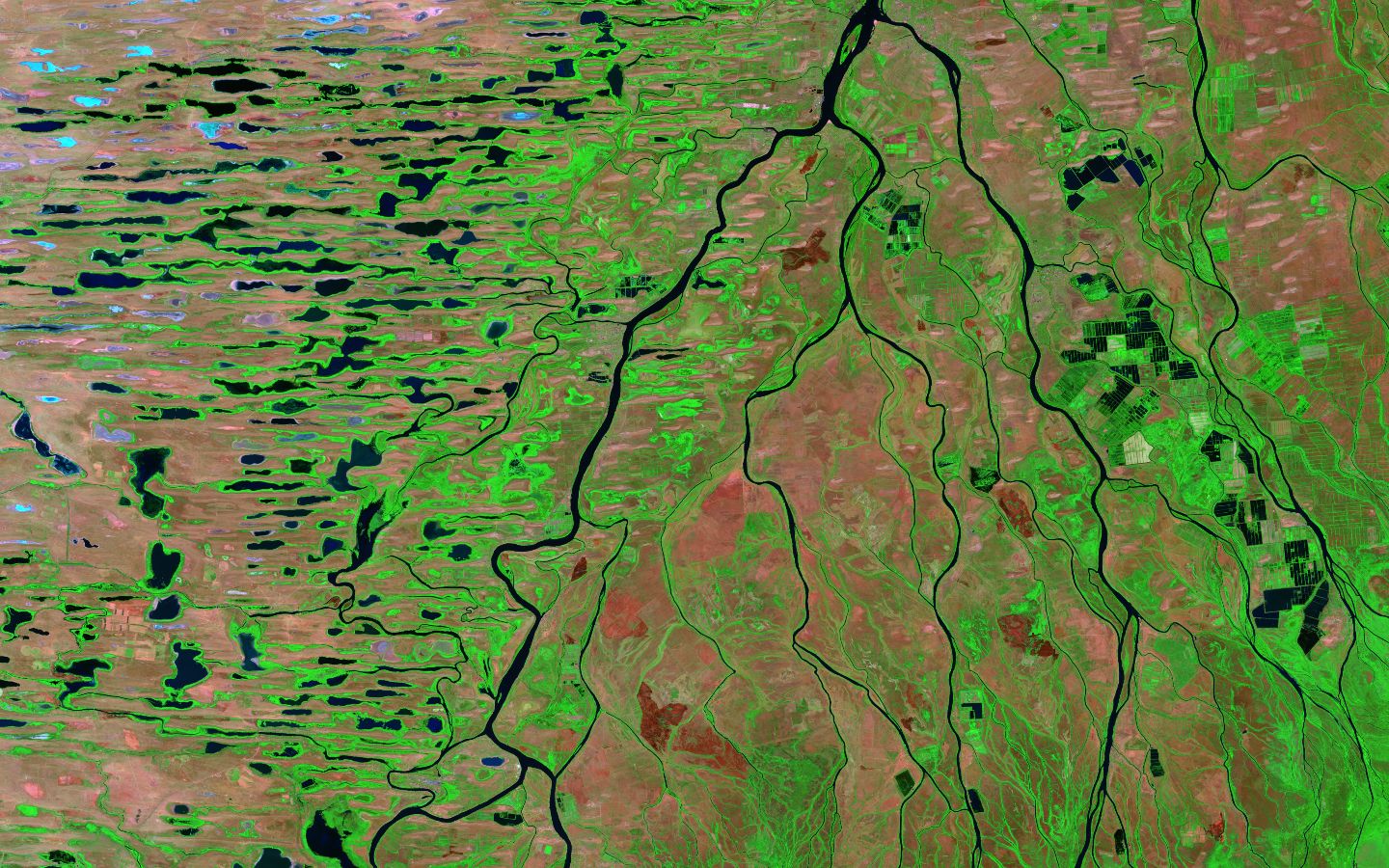 Дельта Волги Астрахань на космоснимок