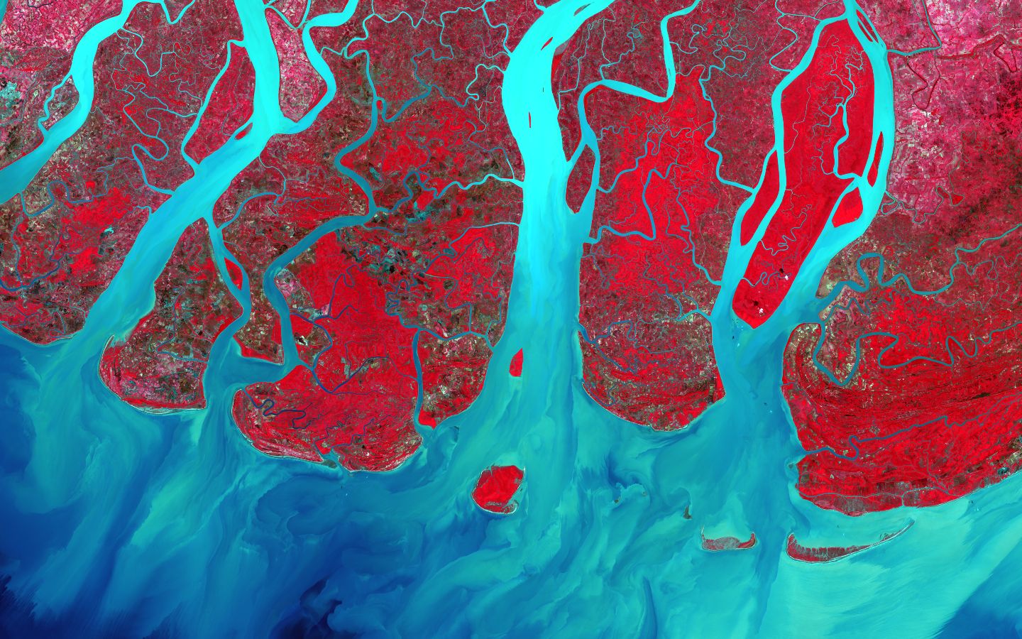 Irrawaddy River Delta, Myanmar